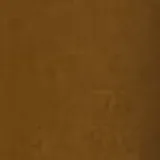 ANKA 13